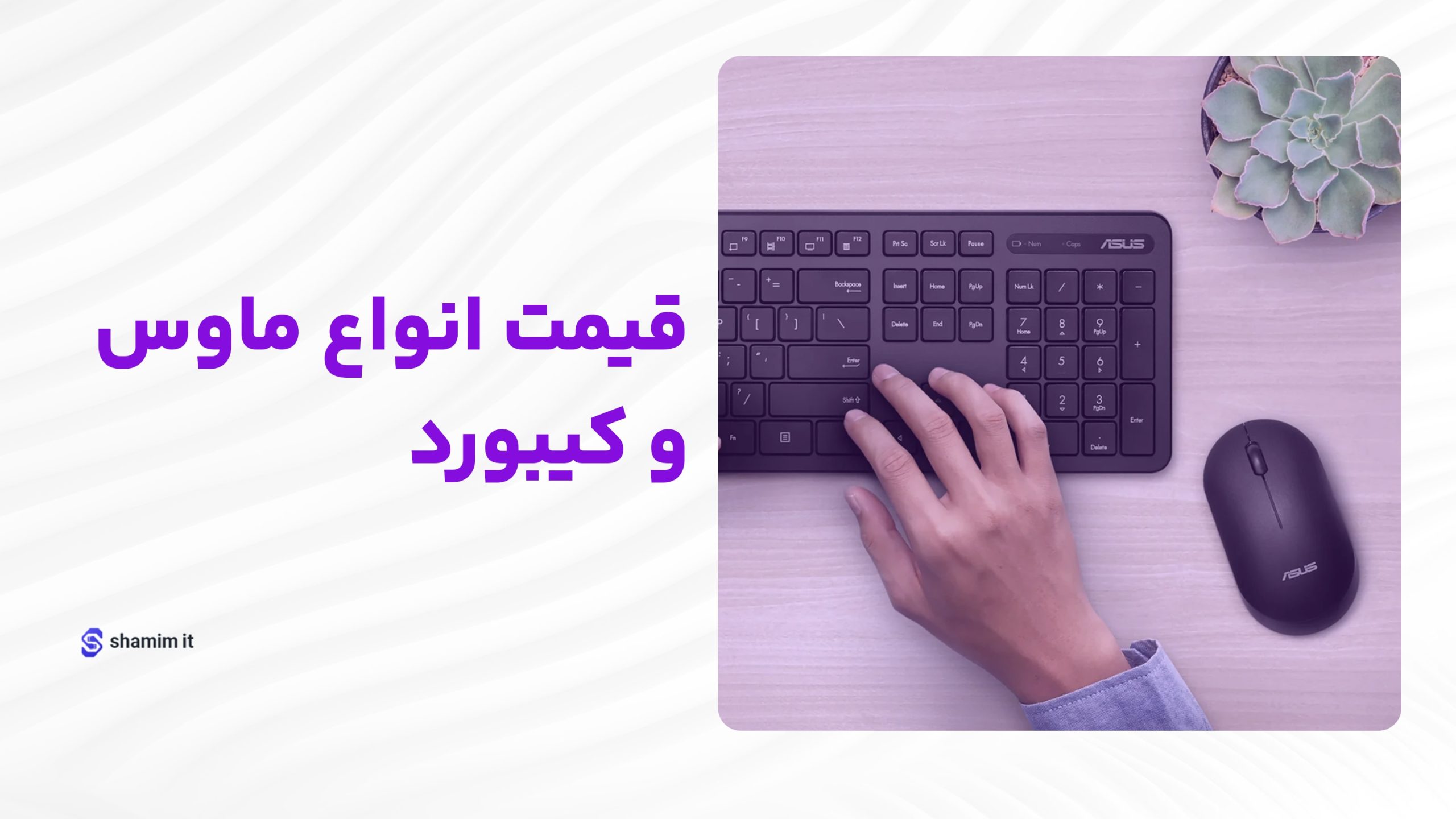 قیمت موس و کیبورد